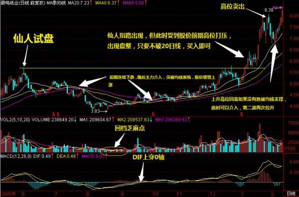 仙人指路一3码中特(2492仙人指路3码中特)