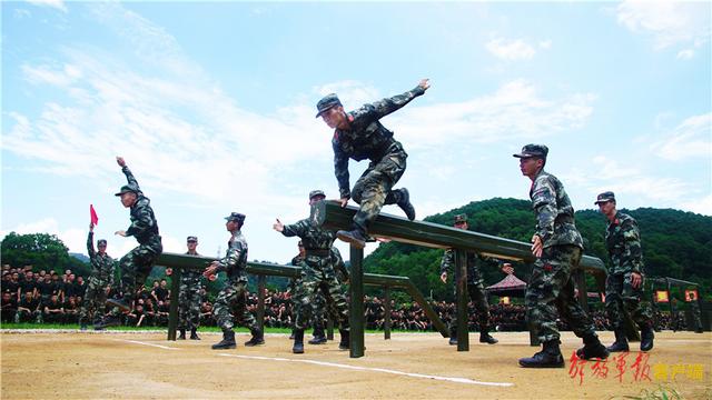 激烈角逐13码中特(上期开特下期必中16码)