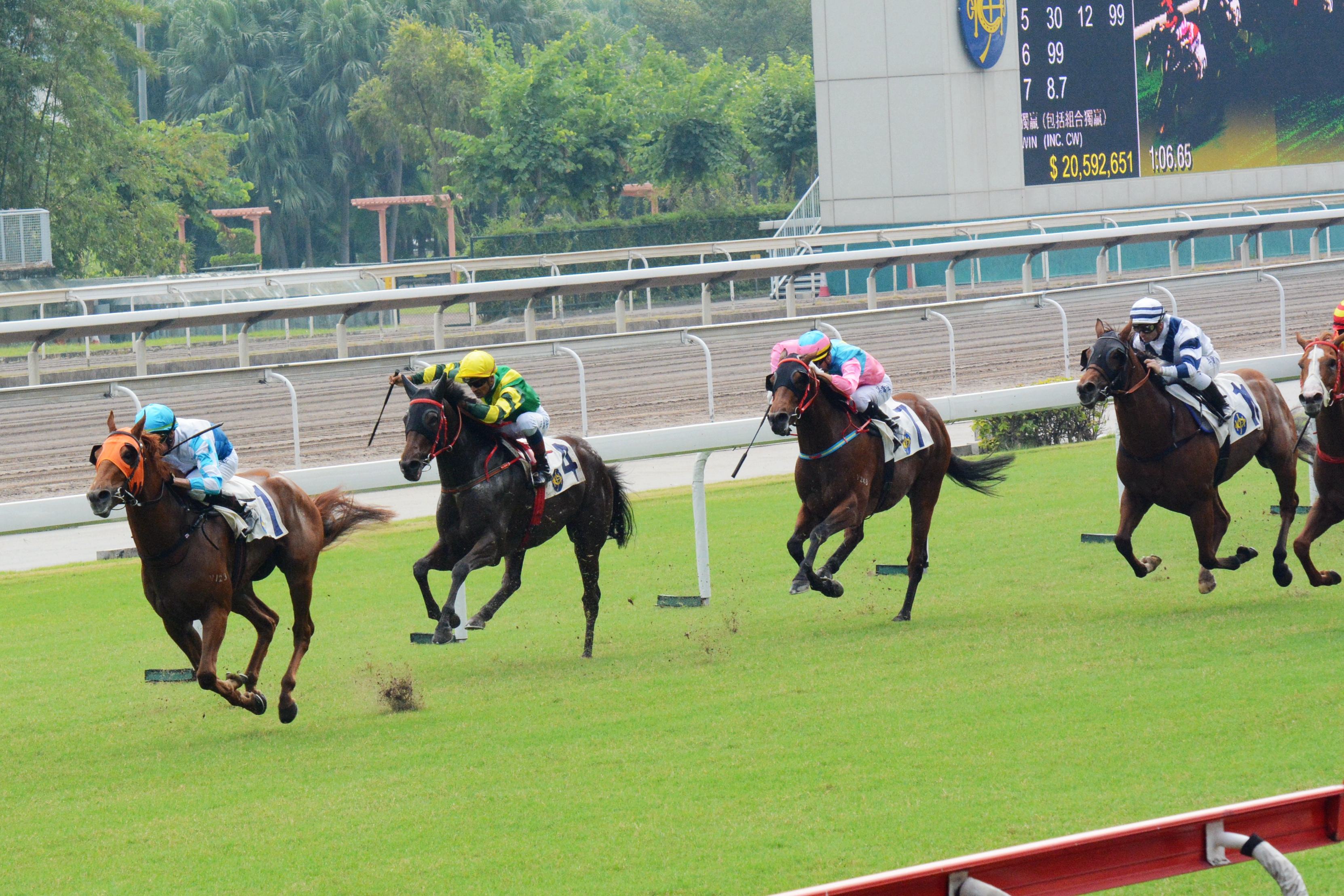 香港赛马6码中特(十码中特+香港赛马会公司)