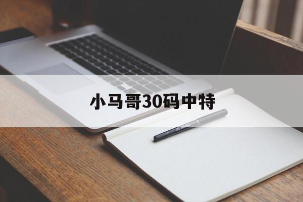 小马哥30码中特(四码中特期期中小马哥)