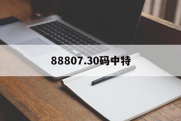 包含88807.30码中特的词条