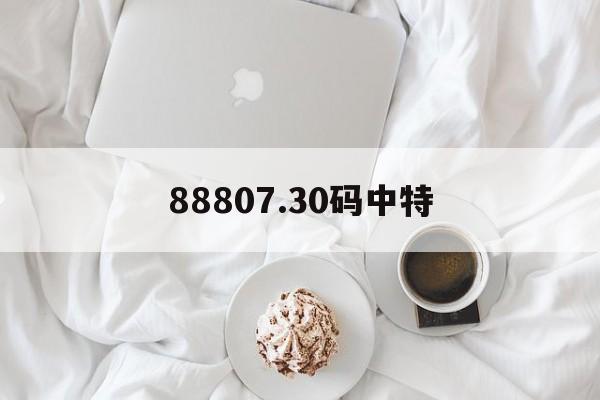 关于88807.30码中特的信息